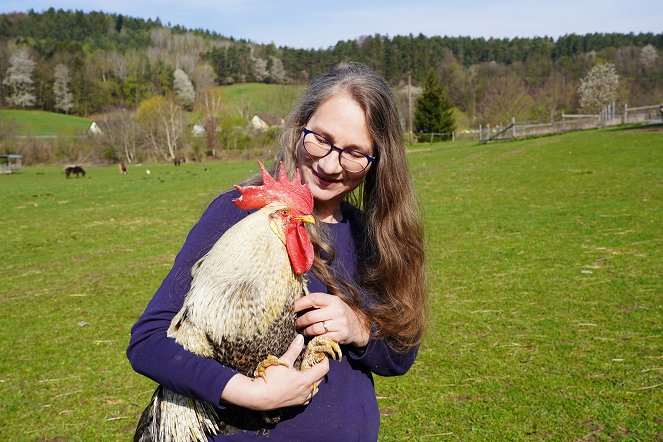 Heimatleuchten - Auffi, obi, ummi, eini – Unterwegs in der Buckligen Welt - Photos