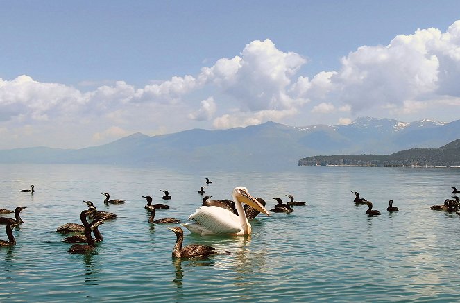 Balkánské národní parky - Národní mořský park Alonissos - Z filmu