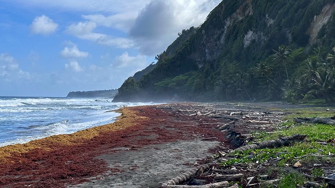 Das Paradies in der Ferne. Dominica - Die Naturinsel in der Karibik - Van film