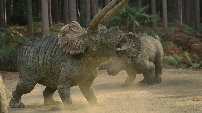 Prehistoryczna planeta - Ameryka Północna - Z filmu