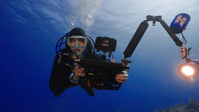 Wasser - Zauber der Korallenriffe - Filmfotos
