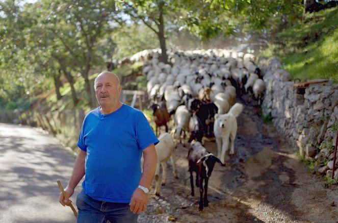 Köstliches Kampanien - Die Amalfiküste - Photos