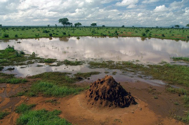 Harc a vízért: Tsavo - Filmfotók