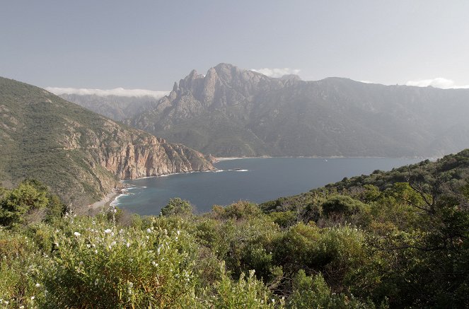 La France sauvage - La Corse, les trésors des fonds marins - De la película