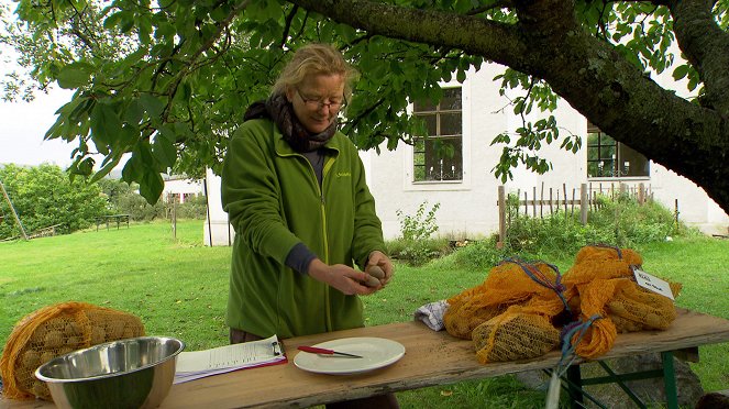 Ikonen Österreichs - From America to Austria - Z filmu