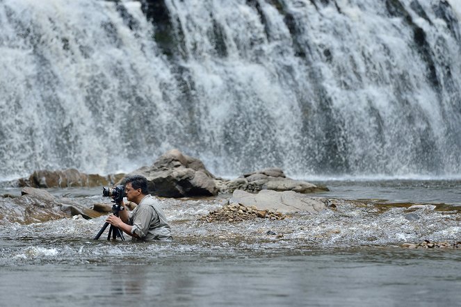 Kinabatangan, le fleuve prodigue de Bornéo - Film