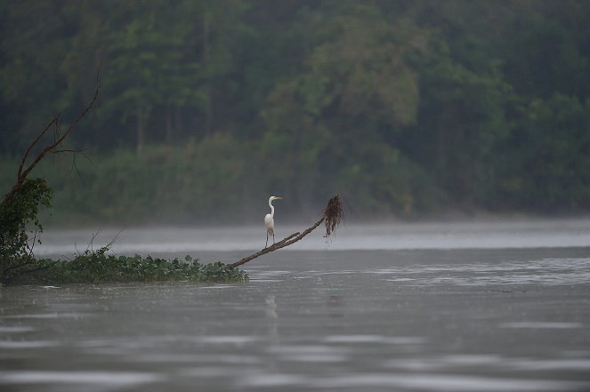 The Amazon of the East - Photos