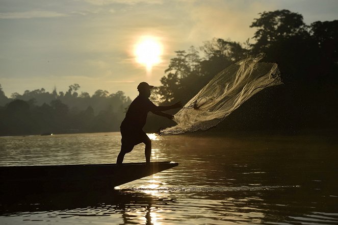 Kinabatangan, le fleuve prodigue de Bornéo - Film