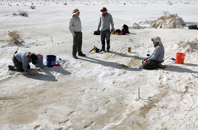 Ice Age Footprints - Photos