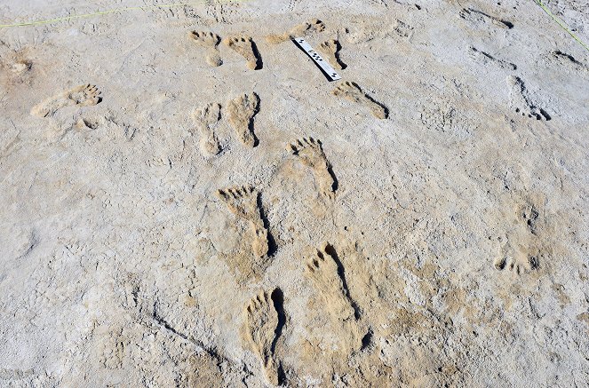 Ice Age Footprints - Photos