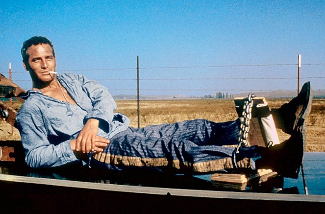 Paul Newman, L’Intranquille - Film