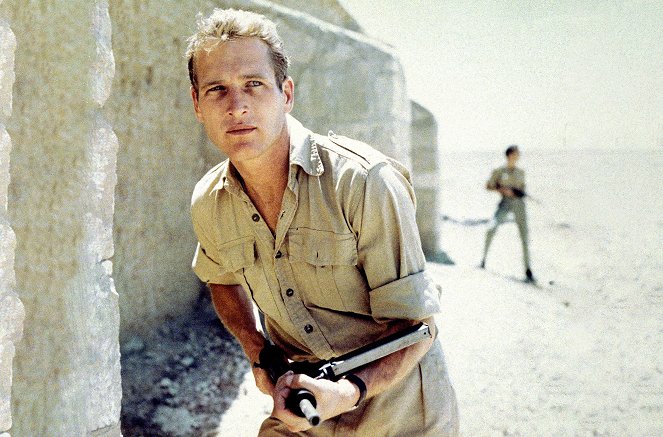 Paul Newman, L’Intranquille - Van film