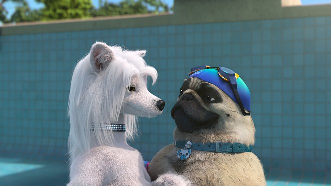 Mike, une vie de chien - Le Grand Plongeon - Film