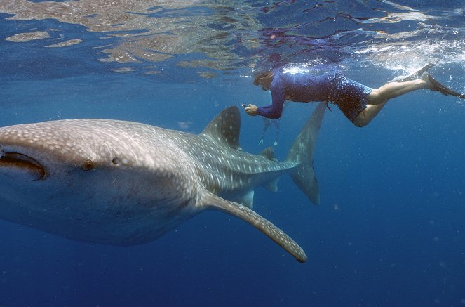 Im Einsatz am Great Barrier Reef - Filmfotos