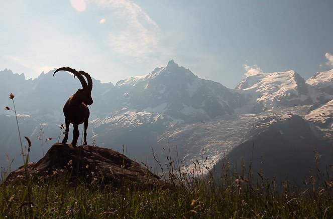 La France sauvage - Les Alpes, les sommets de l'extrème - De filmes