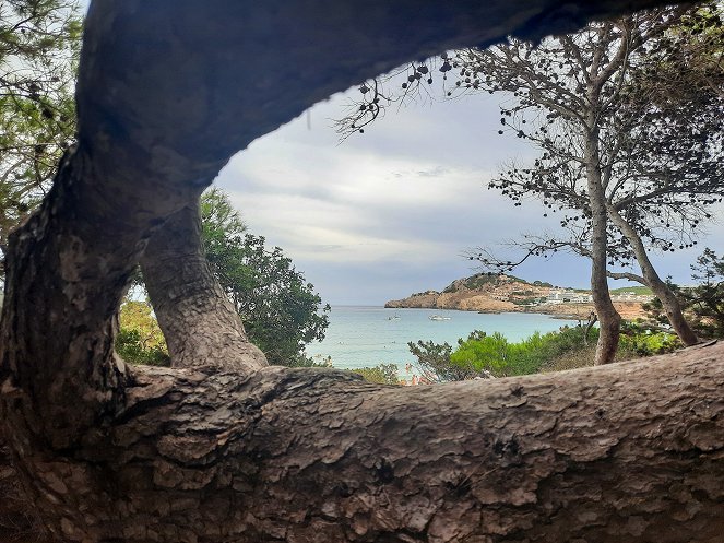 Mallorca - Tod im Paradies - Filmfotos