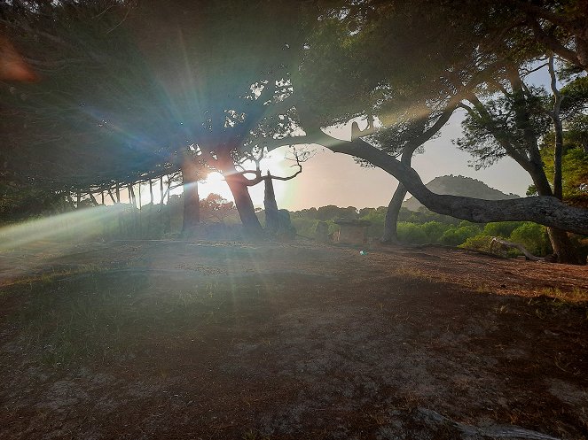 Universum History: Todesfalle Mallorca - Glück und Unglück im Exil - Photos