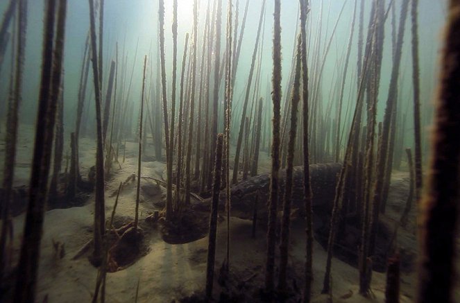 La France sauvage - La Loire, un fleuve libre - Van film