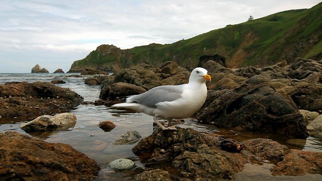Frankreich - Wild und schön - Die Bretagne – zwischen Fels und Ozean - Filmfotos