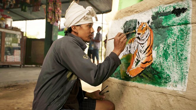 Corridors sauvages - Vivre avec les tigres du Bengale - Van film