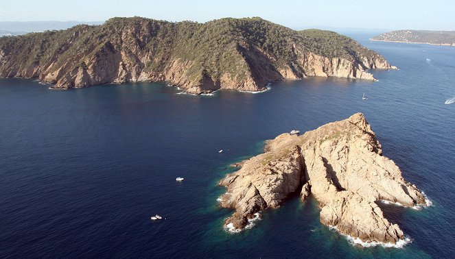 Fragile Schönheit Mittelmeer - Das Wunder von Port-Cros - Filmfotos