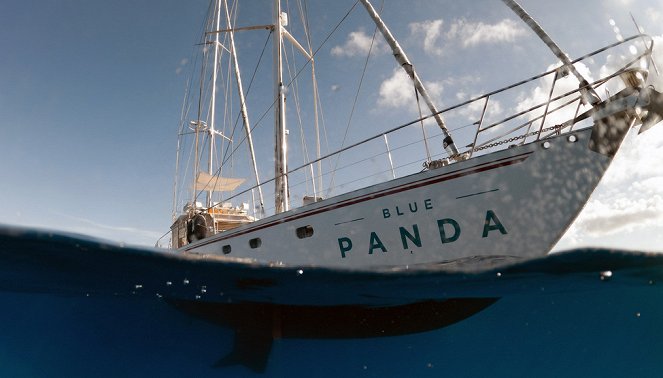 Fragile Schönheit Mittelmeer - Der Tag der Wale - Filmfotos