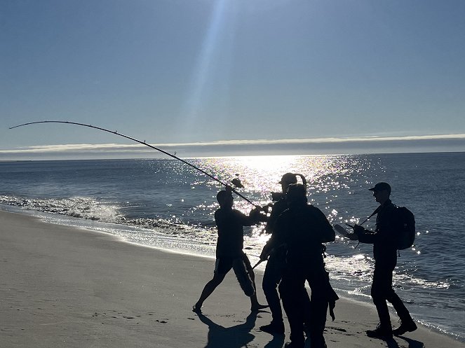Cápák a strandon: Okok és támadások - Filmfotók