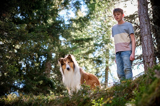 Lassie, una nueva aventura - De la película