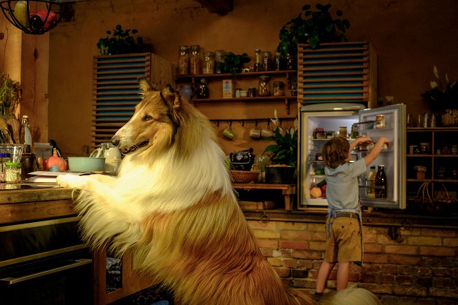 Lassie: A New Adventure - Photos