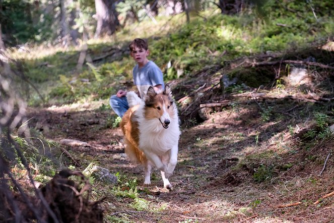 Lassie: Nové dobrodružství - Z filmu