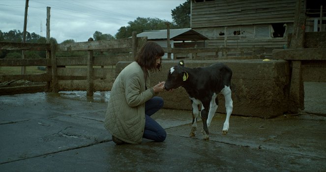 La vaca que cantó una canción hacia el futuro - Van film