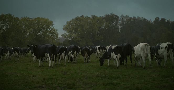 La vaca que cantó una canción hacia el futuro - De la película