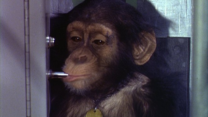 Ham, un chimpanzé dans l'espace - Van film