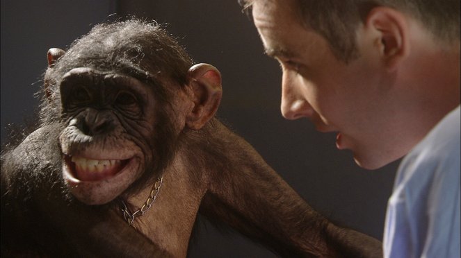 Šimpanz Ham astronautem - Z filmu