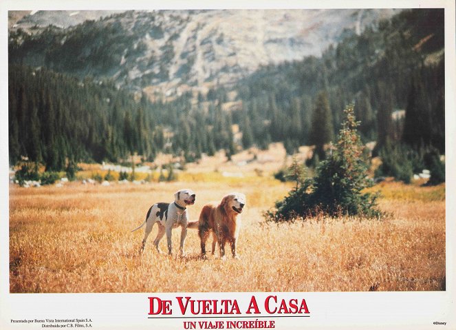 Homeward Bound: The Incredible Journey - Lobby Cards
