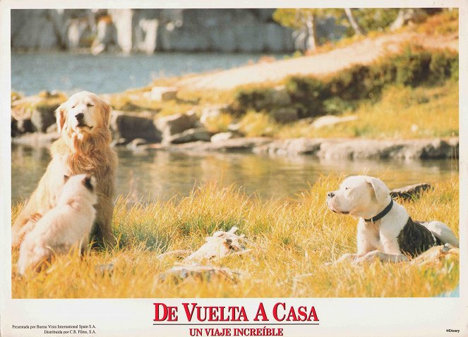 Homeward Bound: The Incredible Journey - Lobby Cards