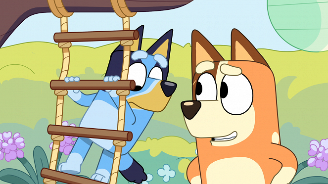 Bluey - Obstacle Course - Do filme