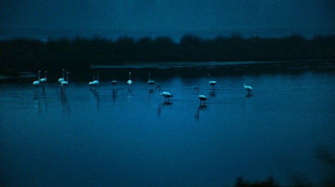 America Latina - Filmfotos