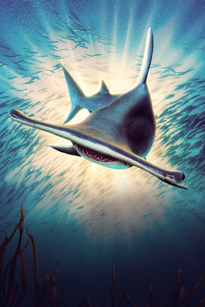 Killer Instinct - Hammerhaie vor Andros - Werbefoto