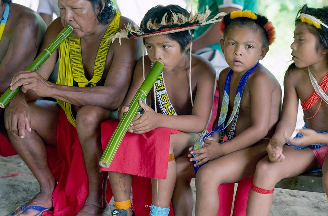 Amazonie : Les murmures de la forêt - Photos