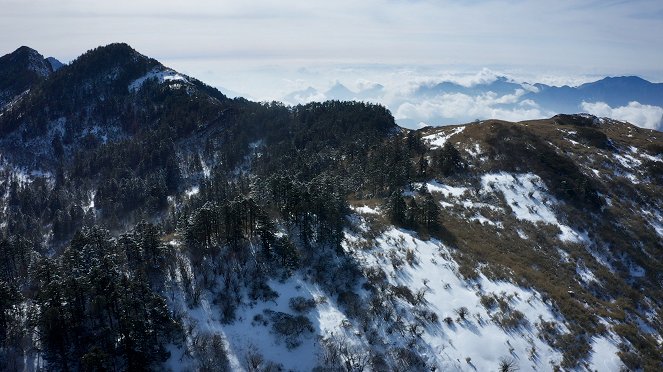 Wilde Tierreiche - Filmfotos