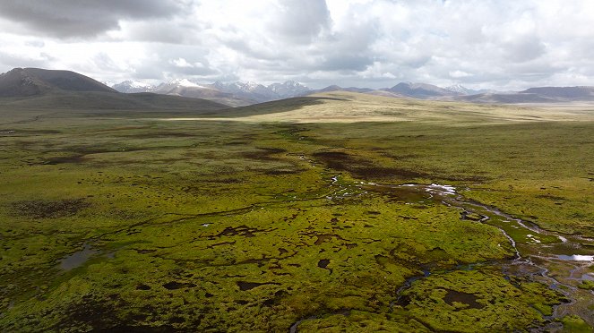 Wild Treasures of China - Photos