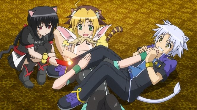 Dog Days - The 4 Conditions - Photos