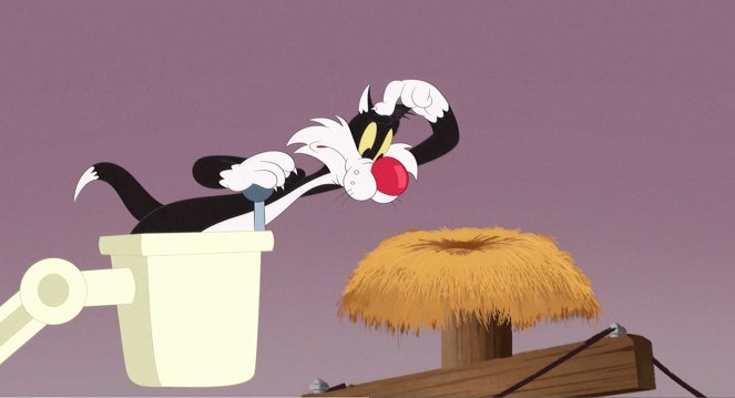 Looney Tunes Cartoons - Pitcher Porky / Cherry Picker / Duck Duck Boom - Film
