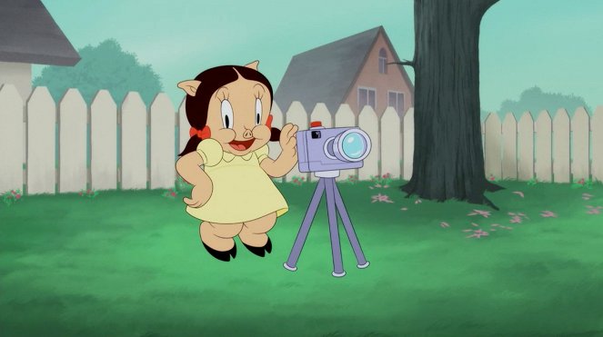 Looney Tunes: Animáky - Pigture Perfect / Telephone Pole Gags 2: Grappling Hook / Swoop de Doo - Z filmu