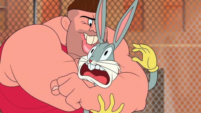 Looney Tunes Cartoons - Season 2 - Basketbugs / A Skate of Confusion! - Film