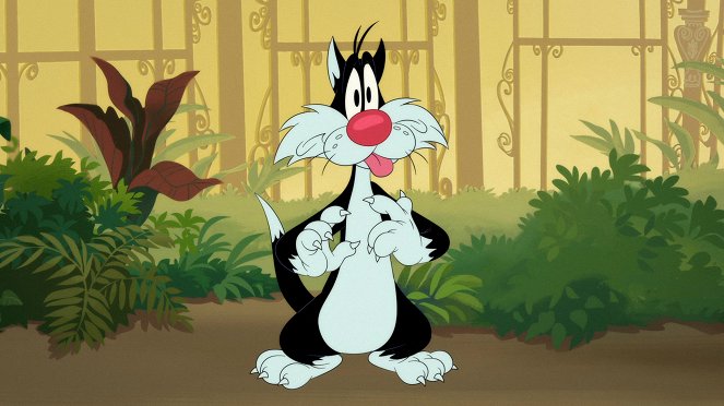 Looney Tunes Cartoons - Drum Schtick! / Frisbee / Beast A-Birdin - Do filme