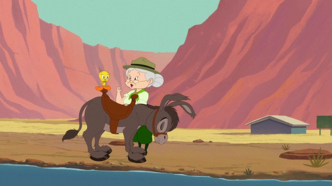 Looney Tunes Cartoons - Grand Canyon Canary / Hole in Dumb - Van film