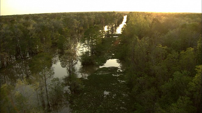 Amerika von oben - Louisiana - Filmfotos