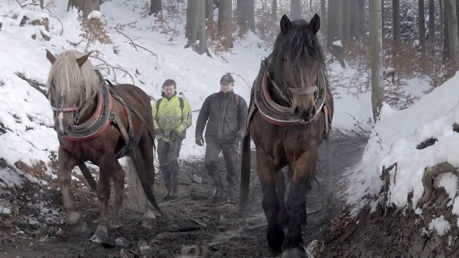 Lidé na hranici - Jede forman dolinou - Photos